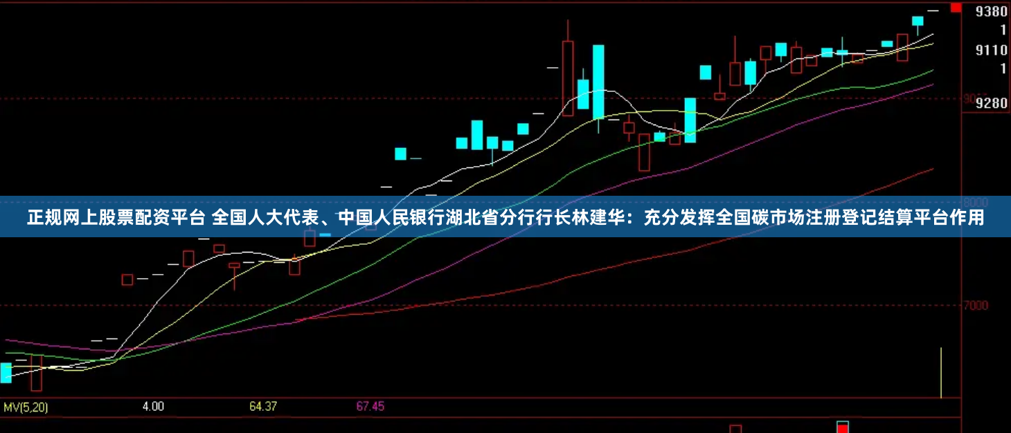 正规网上股票配资平台 全国人大代表、中国人民银行湖北省分行行长林建华：充分发挥全国碳市场注册登记结算平台作用